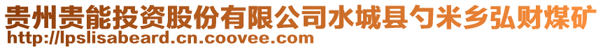 貴州貴能投資股份有限公司水城縣勺米鄉(xiāng)弘財煤礦