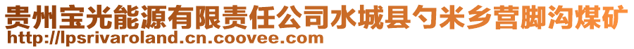 贵州宝光能源有限责任公司水城县勺米乡营脚沟煤矿