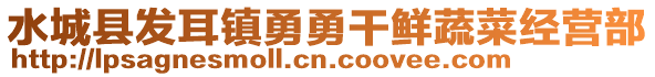 水城縣發(fā)耳鎮(zhèn)勇勇干鮮蔬菜經(jīng)營部