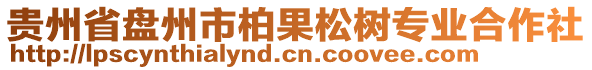 貴州省盤州市柏果松樹專業(yè)合作社