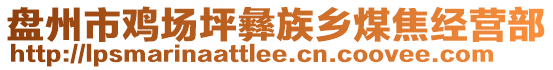 盤州市雞場坪彝族鄉(xiāng)煤焦經(jīng)營部