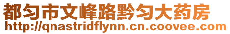 都勻市文峰路黔勻大藥房