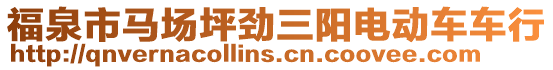 福泉市馬場坪勁三陽電動車車行