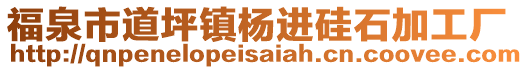 福泉市道坪鎮(zhèn)楊進(jìn)硅石加工廠