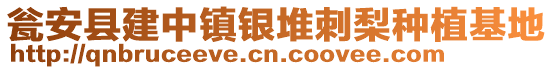 甕安縣建中鎮(zhèn)銀堆刺梨種植基地