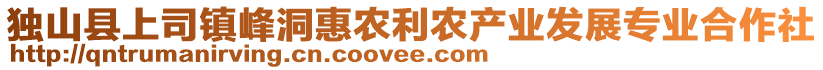 獨(dú)山縣上司鎮(zhèn)峰洞惠農(nóng)利農(nóng)產(chǎn)業(yè)發(fā)展專業(yè)合作社