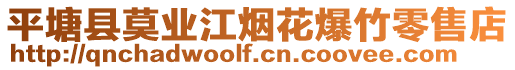 平塘縣莫業江煙花爆竹零售店