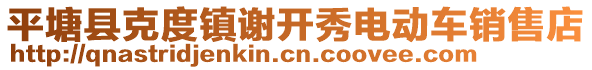 平塘縣克度鎮(zhèn)謝開秀電動(dòng)車銷售店