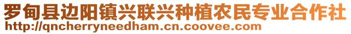 羅甸縣邊陽(yáng)鎮(zhèn)興聯(lián)興種植農(nóng)民專業(yè)合作社