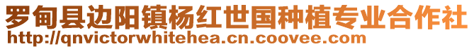 羅甸縣邊陽鎮(zhèn)楊紅世國種植專業(yè)合作社