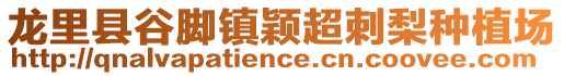 龍里縣谷腳鎮(zhèn)穎超刺梨種植場