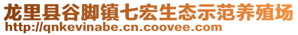 龍里縣谷腳鎮(zhèn)七宏生態(tài)示范養(yǎng)殖場