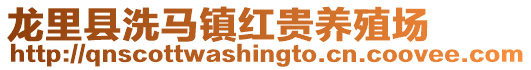 龍里縣洗馬鎮(zhèn)紅貴養(yǎng)殖場(chǎng)