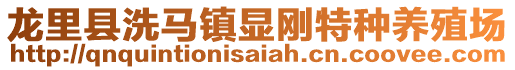 龍里縣洗馬鎮(zhèn)顯剛特種養(yǎng)殖場(chǎng)