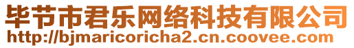 畢節(jié)市君樂網(wǎng)絡(luò)科技有限公司