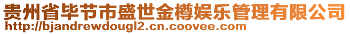 貴州省畢節市盛世金樽娛樂管理有限公司
