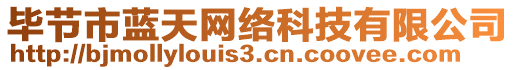 畢節(jié)市藍天網絡科技有限公司