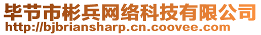 毕节市彬兵网络科技有限公司