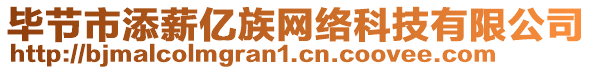 畢節(jié)市添薪億族網(wǎng)絡(luò)科技有限公司