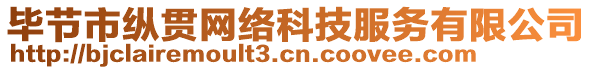 畢節(jié)市縱貫網(wǎng)絡(luò)科技服務(wù)有限公司