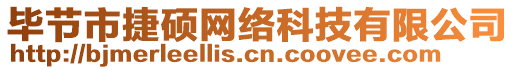 畢節(jié)市捷碩網絡科技有限公司