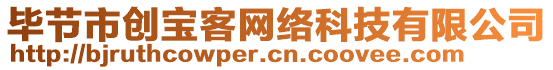 畢節(jié)市創(chuàng)寶客網(wǎng)絡(luò)科技有限公司