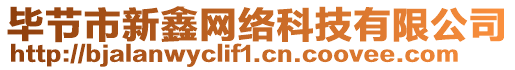 畢節(jié)市新鑫網(wǎng)絡(luò)科技有限公司