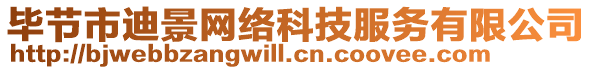 畢節(jié)市迪景網(wǎng)絡(luò)科技服務(wù)有限公司