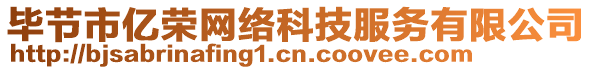 畢節(jié)市億榮網(wǎng)絡(luò)科技服務(wù)有限公司