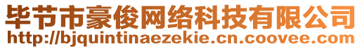 畢節(jié)市豪俊網(wǎng)絡(luò)科技有限公司