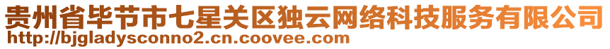 貴州省畢節(jié)市七星關(guān)區(qū)獨(dú)云網(wǎng)絡(luò)科技服務(wù)有限公司