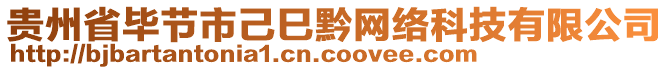 貴州省畢節(jié)市己巳黔網(wǎng)絡科技有限公司