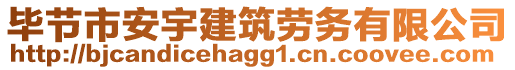 畢節(jié)市安宇建筑勞務(wù)有限公司