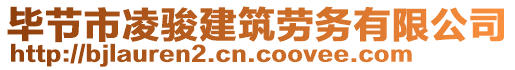 畢節(jié)市凌駿建筑勞務(wù)有限公司