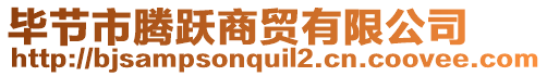 畢節(jié)市騰躍商貿(mào)有限公司