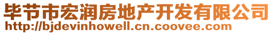 畢節(jié)市宏潤房地產(chǎn)開發(fā)有限公司