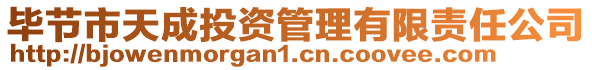 畢節(jié)市天成投資管理有限責(zé)任公司