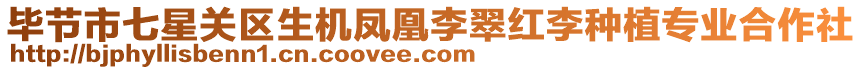 畢節(jié)市七星關(guān)區(qū)生機(jī)鳳凰李翠紅李種植專業(yè)合作社