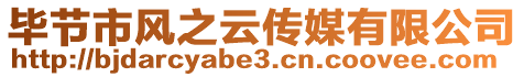 畢節(jié)市風(fēng)之云傳媒有限公司