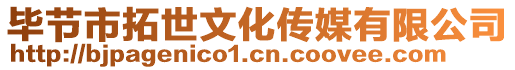 畢節(jié)市拓世文化傳媒有限公司