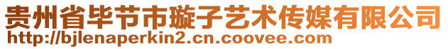 貴州省畢節(jié)市璇子藝術傳媒有限公司