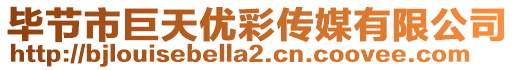 畢節(jié)市巨天優(yōu)彩傳媒有限公司