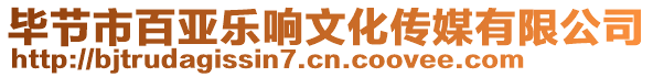 畢節(jié)市百亞樂(lè)響文化傳媒有限公司