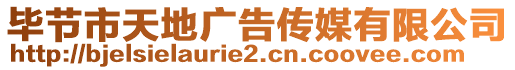 畢節(jié)市天地廣告?zhèn)髅接邢薰? style=