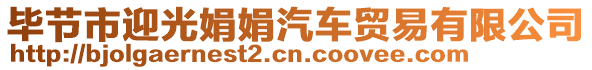 畢節(jié)市迎光娟娟汽車貿(mào)易有限公司