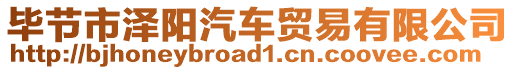 畢節(jié)市澤陽汽車貿(mào)易有限公司