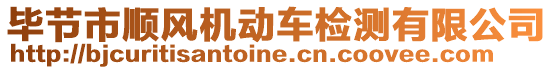 畢節(jié)市順風機動車檢測有限公司