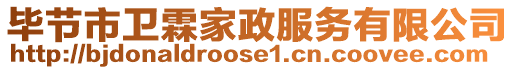 畢節(jié)市衛(wèi)霖家政服務(wù)有限公司