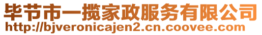 畢節(jié)市一攬家政服務有限公司