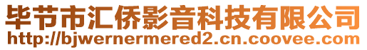 畢節(jié)市匯僑影音科技有限公司